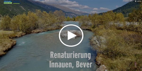 Renaturation in Innauen, Bever
